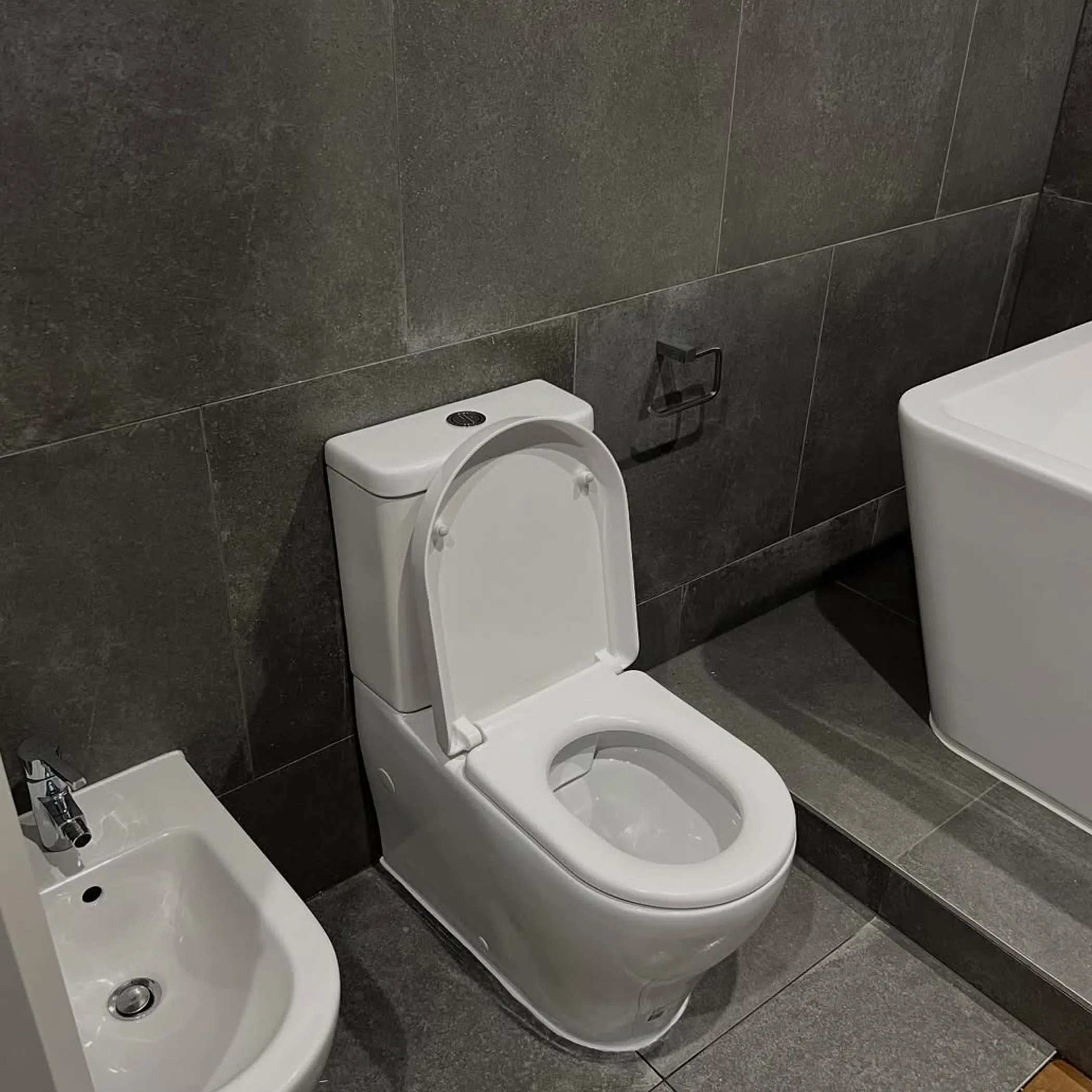 emergency plumbing and toilet repairs