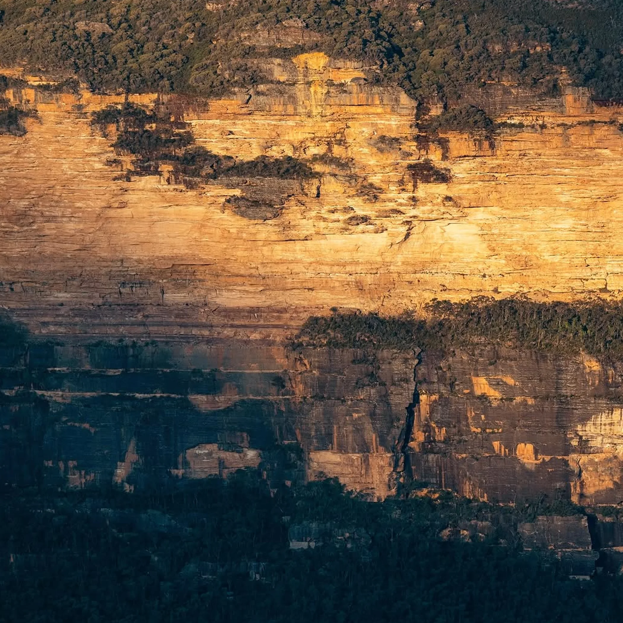 blue mountains cliffs and forest