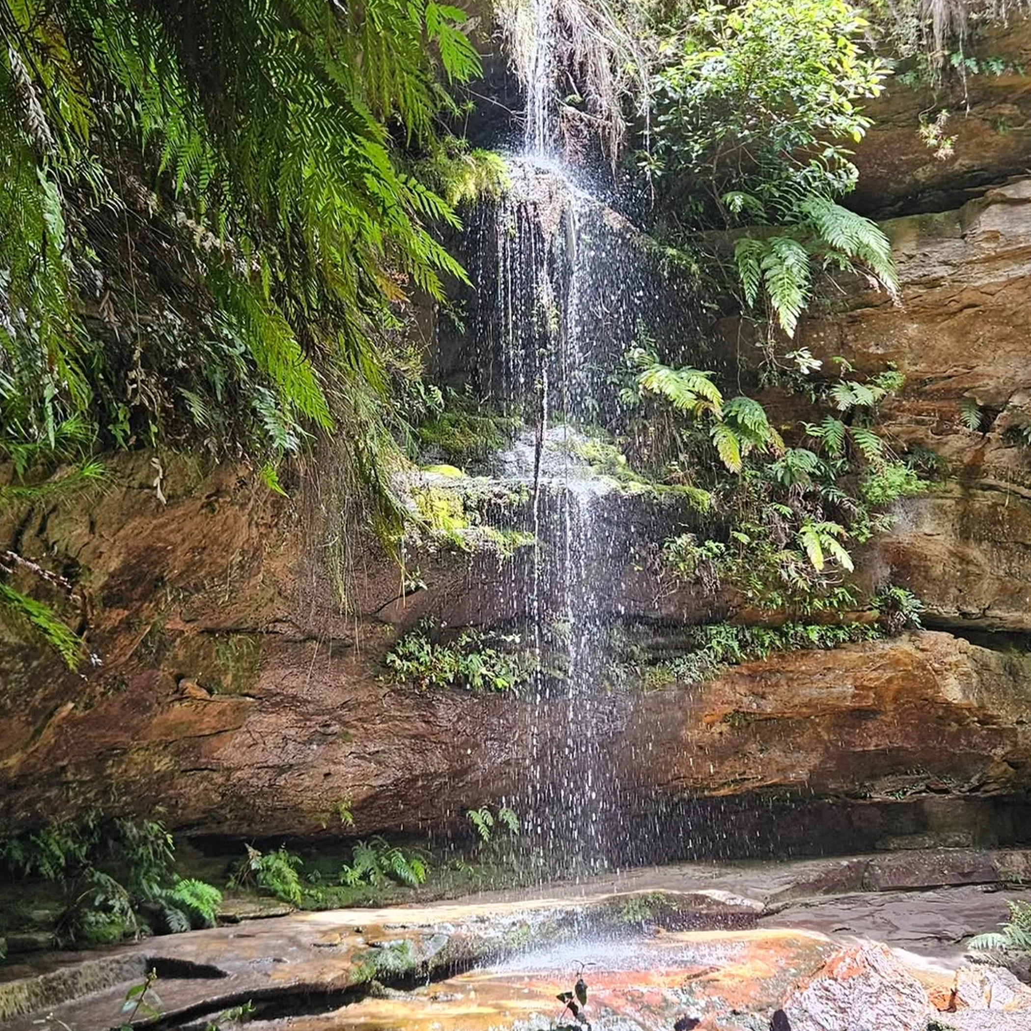 scenic hiking destination in blue mountains national park