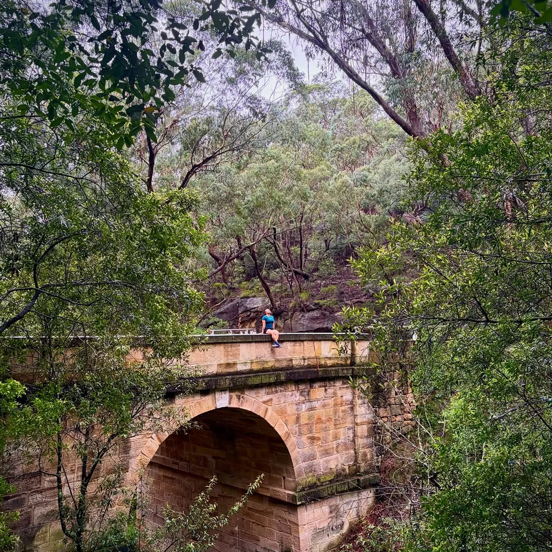 hiking bridge in australian bushland